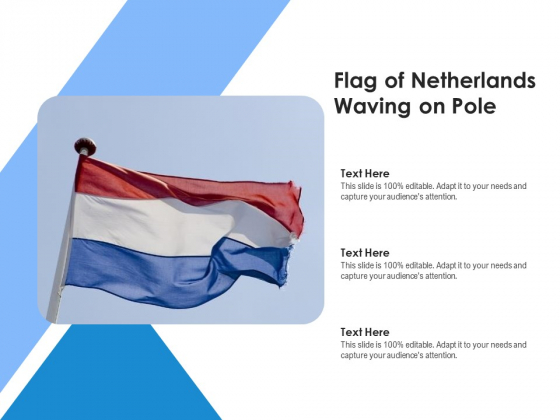Picture Of Netherlands Flag Of Waving On Pole Ppt PowerPoint Presentation Gallery Deck PDF