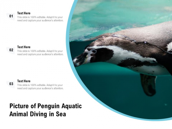 Picture Of Penguin Aquatic Animal Diving In Sea Ppt PowerPoint Presentation Gallery Brochure PDF Picture Of Penguin Aquatic Animal Diving In Sea Ppt PowerPoint Presentation Gallery Brochure PDF