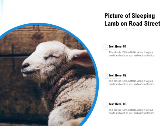 Picture Of Sleeping Lamb On Road Street Ppt PowerPoint Presentation File Infographics PDF