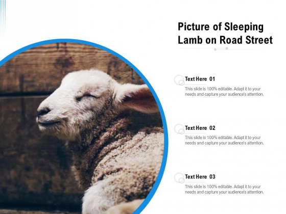 Picture Of Sleeping Lamb On Road Street Ppt PowerPoint Presentation File Infographics PDF Picture Of Sleeping Lamb On Road Street Ppt PowerPoint Presentation File Infographics PDF