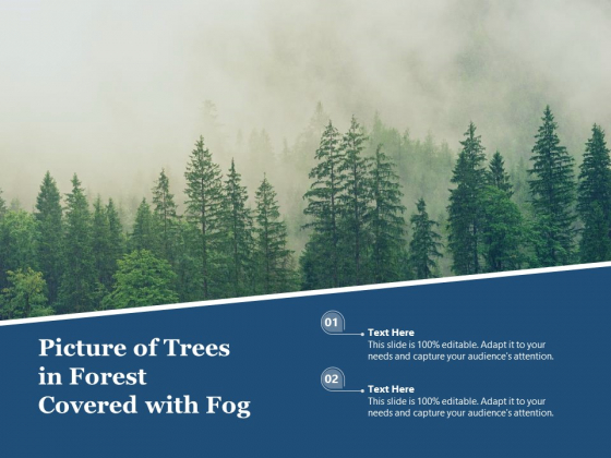 Picture Of Trees In Forest Covered With Fog Ppt PowerPoint Presentation Pictures Aids PDF Picture Of Trees In Forest Covered With Fog Ppt PowerPoint Presentation Pictures Aids PDF