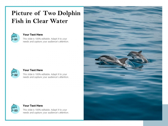 Picture Of Two Dolphin Fish In Clear Water Ppt PowerPoint Presentation File Graphic Images PDF Picture Of Two Dolphin Fish In Clear Water Ppt PowerPoint Presentation File Graphic Images PDF