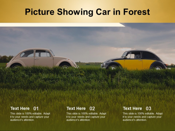 Picture Showing Car In Forest Ppt PowerPoint Presentation Professional Infographic Template PDF Picture Showing Car In Forest Ppt PowerPoint Presentation Professional Infographic Template PDF
