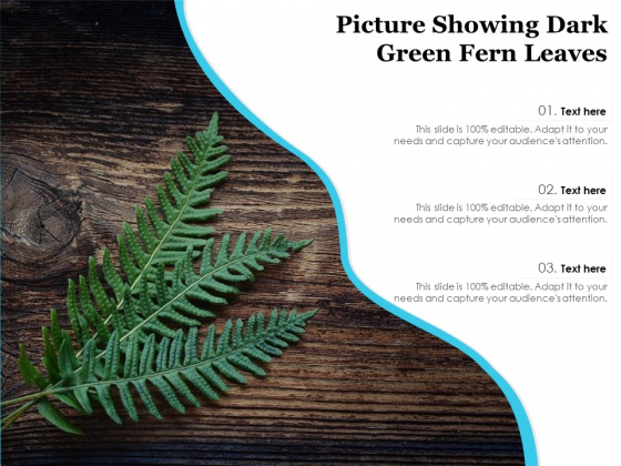 Picture Showing Dark Green Fern Leaves Ppt PowerPoint Presentation Slides Infographic Template PDF Picture Showing Dark Green Fern Leaves Ppt PowerPoint Presentation Slides Infographic Template PDF