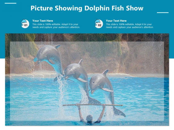 Picture Showing Dolphin Fish Show Ppt PowerPoint Presentation File Slideshow PDF Picture Showing Dolphin Fish Show Ppt PowerPoint Presentation File Slideshow PDF