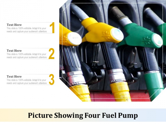 Picture Showing Four Fuel Pump Ppt PowerPoint Presentation Gallery Inspiration PDF
