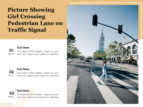 Picture Showing Girl Crossing Pedestrian Lane On Traffic Signal Ppt PowerPoint Presentation Infographics Grid PDF Picture Showing Girl Crossing Pedestrian Lane On Traffic Signal Ppt PowerPoint Presentation Infographics Grid PDF