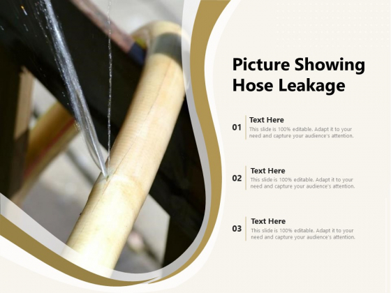 Picture Showing Hose Leakage Ppt PowerPoint Presentation Model Show PDF Picture Showing Hose Leakage Ppt PowerPoint Presentation Model Show PDF