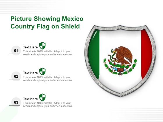 Picture Showing Mexico Country Flag On Shield Ppt PowerPoint Presentation Gallery Introduction PDF Picture Showing Mexico Country Flag On Shield Ppt PowerPoint Presentation Gallery Introduction PDF