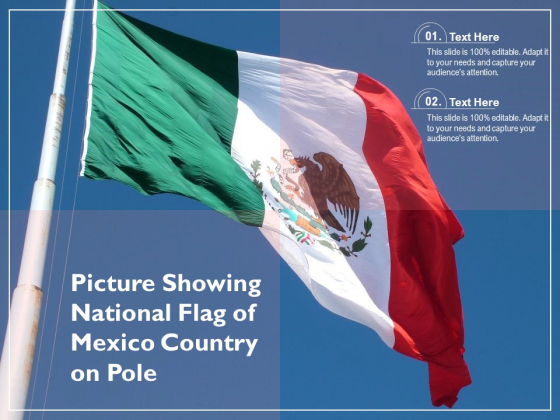 Picture Showing National Flag Of Mexico Country On Pole Ppt PowerPoint Presentation Styles Picture PDF Picture Showing National Flag Of Mexico Country On Pole Ppt PowerPoint Presentation Styles Picture PDF