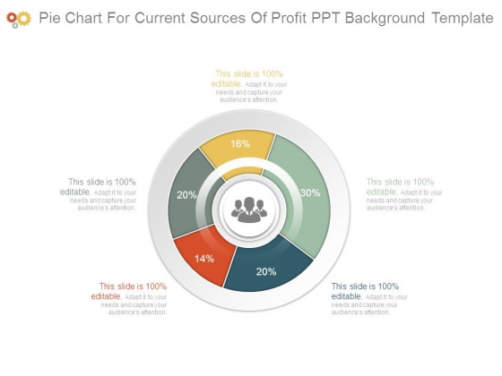 pie chart for current sources of profit ppt background template