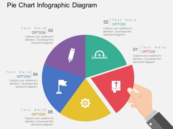 Pie Chart Infographic