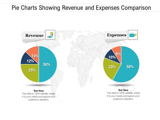 Pie Charts Showing Revenue And Expenses Comparison Ppt PowerPoint Presentation File Objects PDF