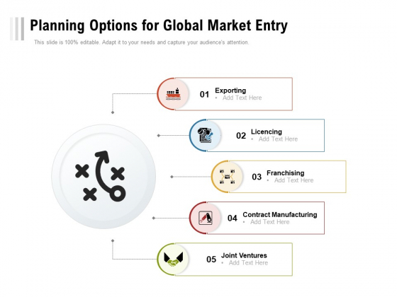 Planning Options For Global Market Entry Ppt PowerPoint Presentation Gallery Images PDF