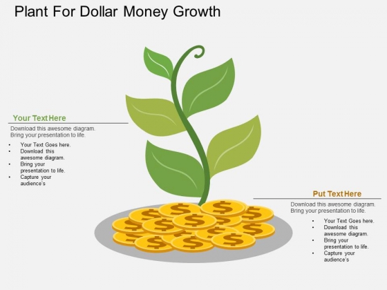 Plant For Dollar Money Growth Powerpoint Template Plant For Dollar Money Growth Powerpoint Template