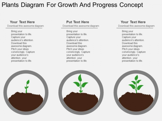 Plants Diagram For Growth And Progress Concept Powerpoint Template Plants Diagram For Growth And Progress Concept Powerpoint Template