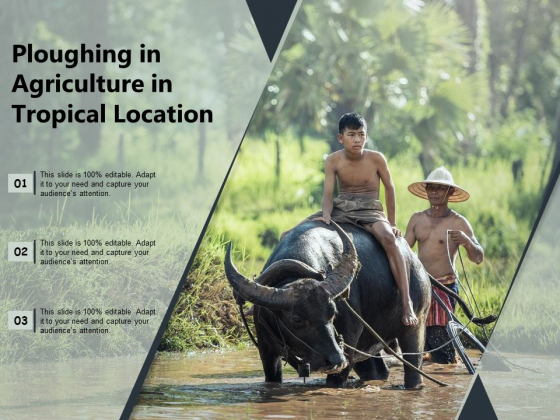 Ploughing In Agriculture In Tropical Location Ppt PowerPoint Presentation File Elements PDF Ploughing In Agriculture In Tropical Location Ppt PowerPoint Presentation File Elements PDF