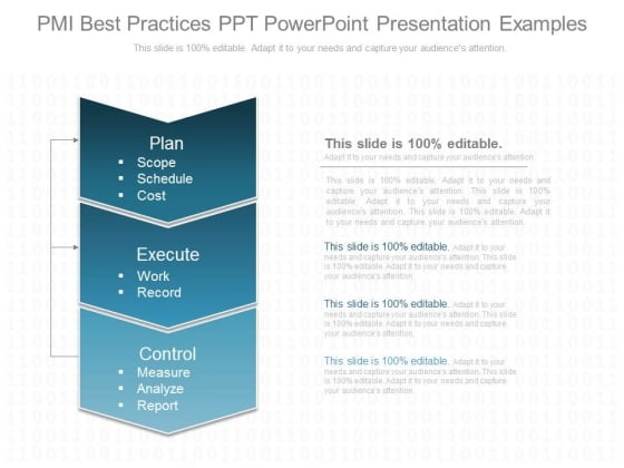Pmi Best Practices Ppt Powerpoint Presentation Examples Pmi Best Practices Ppt Powerpoint Presentation Examples