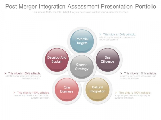 Post Merger Integration Assessment Presentation Portfolio