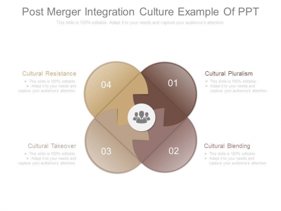 Post Merger Integration Culture Example Of Ppt Post Merger Integration Culture Example Of Ppt