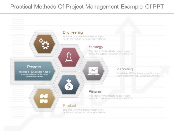 Practical Methods Of Project Management Example Of Ppt