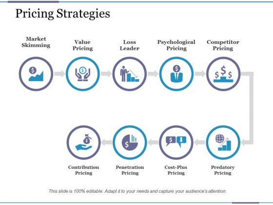 Pricing Strategies Ppt PowerPoint Presentation Icon Show Pricing Strategies Ppt PowerPoint Presentation Icon Show