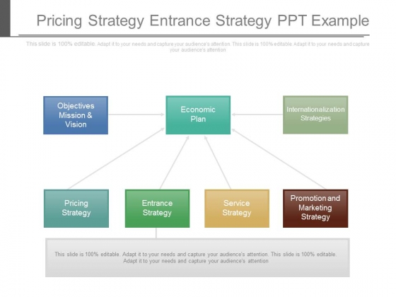 Pricing Strategy Entrance Strategy Ppt Example Pricing Strategy Entrance Strategy Ppt Example
