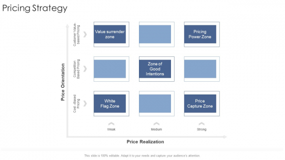 Pricing Strategy Zone Startup Business Strategy Ppt Summary Example File PDF