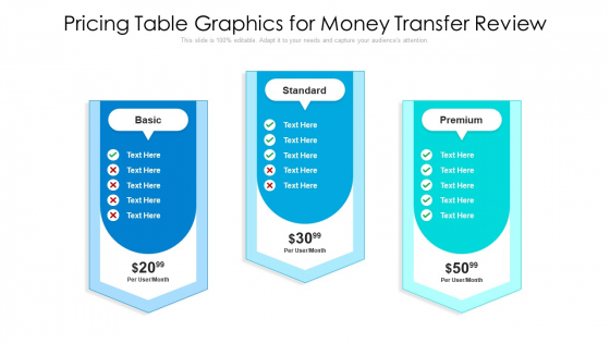 Pricing Table Graphics For Money Transfer Review Pictures PDF