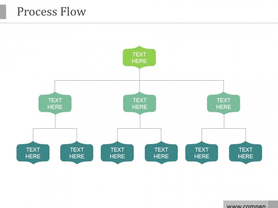 Process Flow Ppt PowerPoint Presentation Portfolio Process Flow Ppt PowerPoint Presentation Portfolio
