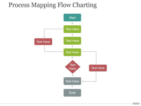Process Mapping Flow Charting Ppt PowerPoint Presentation Designs Download
