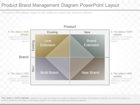 Product Brand Management Diagram Powerpoint Layout Product Brand Management Diagram Powerpoint Layout