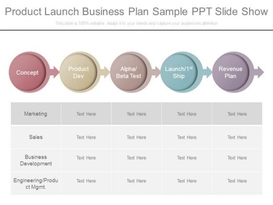 Product Launch Business Plan Sample Ppt Slide Show Product Launch Business Plan Sample Ppt Slide Show