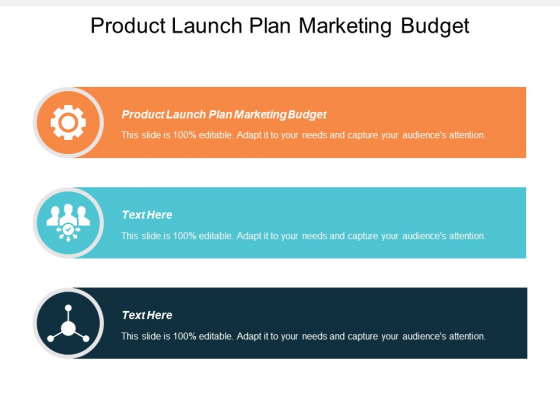 Product Launch Plan Marketing Budget Ppt PowerPoint Presentation Inspiration Aids Cpb