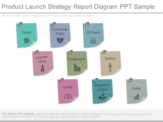 Product Launch Strategy Report Diagram Ppt Sample Product Launch Strategy Report Diagram Ppt Sample