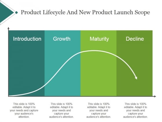 Product Lifecycle And New Product Launch Scope Template 1 Ppt PowerPoint Presentation Slides Product Lifecycle And New Product Launch Scope Template 1 Ppt PowerPoint Presentation Slides