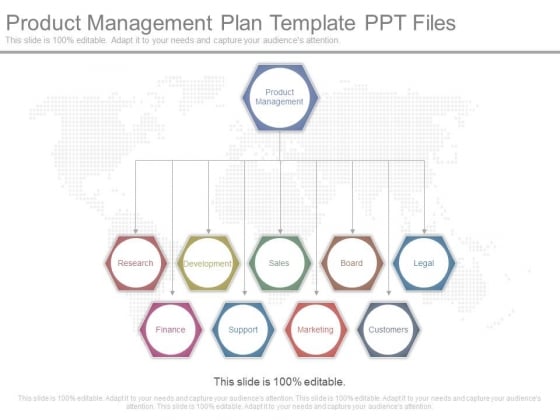 Product Management Plan Template Ppt Files