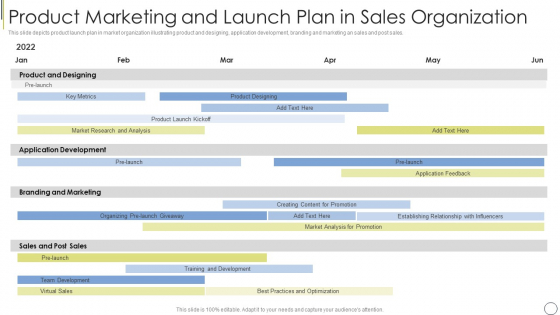 Product Marketing And Launch Plan In Sales Organization Portrait PDF