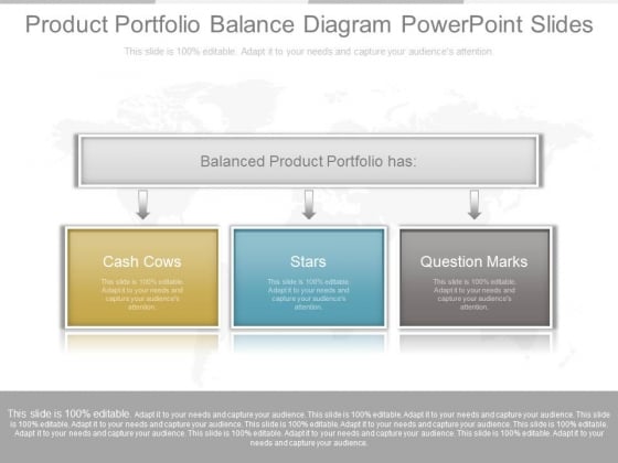 Product Portfolio Balance Diagram Powerpoint Slides