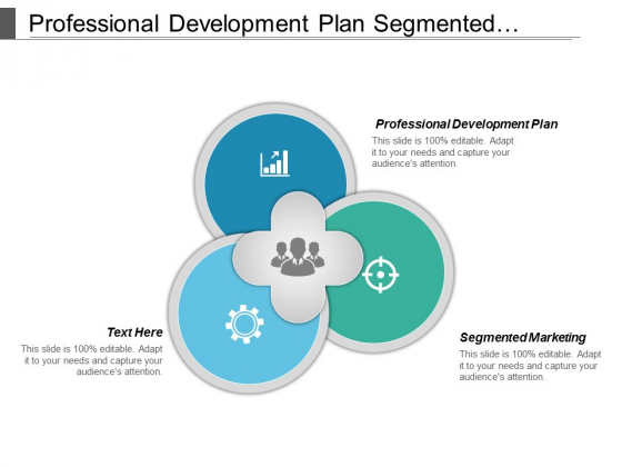 Professional Development Plan Segmented Marketing Ppt PowerPoint Presentation File Show Professional Development Plan Segmented Marketing Ppt PowerPoint Presentation File Show