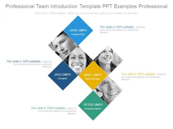 Professional Team Introduction Template Ppt Examples Professional