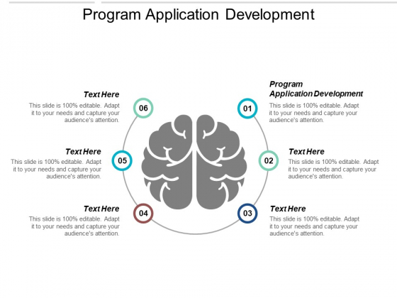 Program Application Development Ppt Powerpoint Presentation Portfolio Show Cpb