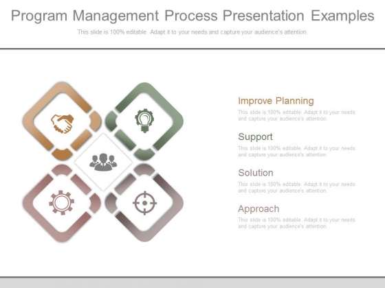 Program Management Process Presentation Examples