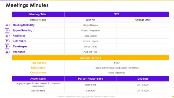 Program Management Timetable Bundle Meetings Minutes Ppt Pictures Format PDF