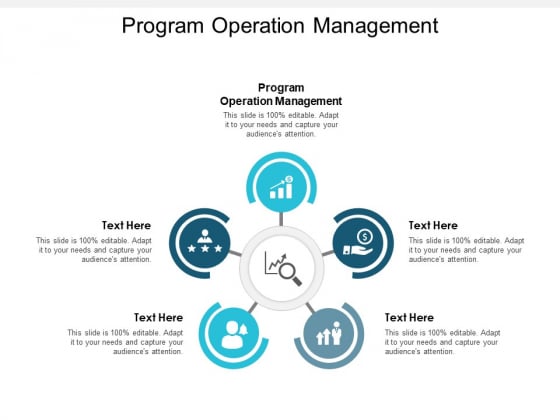 Program Operation Management Ppt PowerPoint Presentation Gallery Graphics Cpb