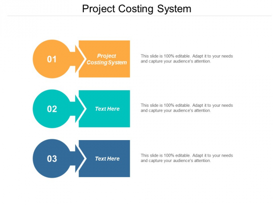 Project Costing System Ppt PowerPoint Presentation Styles Examples