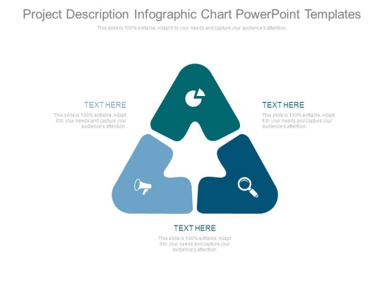 Project Description Infographic Chart Powerpoint Templates