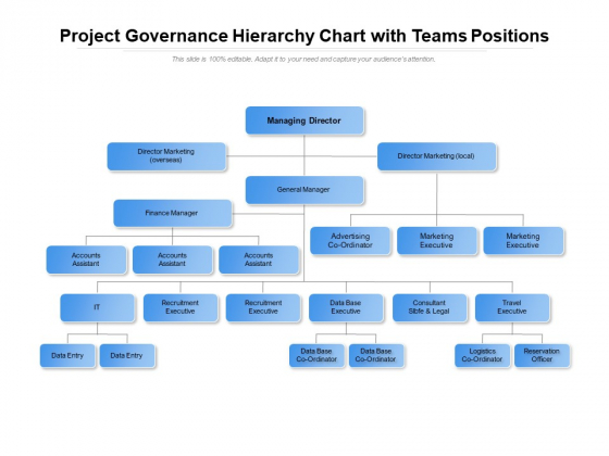 Project Governance Hierarchy Chart With Teams Positions Ppt PowerPoint Presentation File Background Project Governance Hierarchy Chart With Teams Positions Ppt PowerPoint Presentation File Background