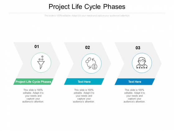 Project Life Cycle Phases Ppt PowerPoint Presentation Icon Gallery Cpb