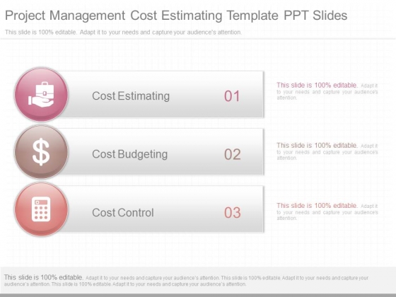 Project Management Cost Estimating Template Ppt Slides Project Management Cost Estimating Template Ppt Slides
